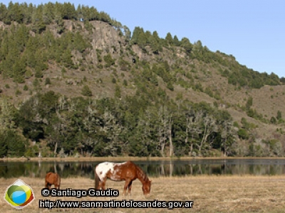 Panorámica 180º Laguna Rosales (Santiago Gaudio)