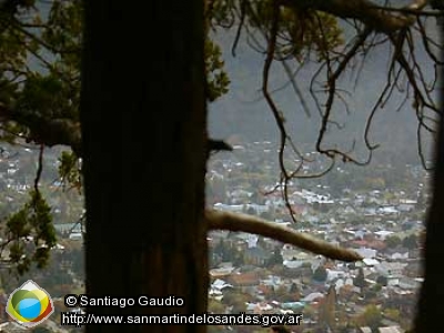 Foto Pasarelas del mirador Arrayán (Santiago Gaudio)