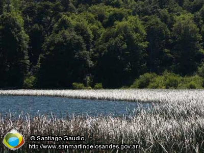 Foto Lago Curruhué Chico (Santiago Gaudio)