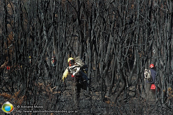 Foto Incendio (Adriana Mussi)