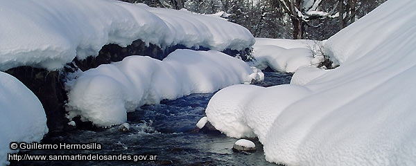 Foto Arroyo invernal (Guillermo Hermosilla)