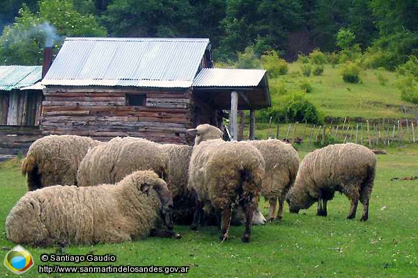 Foto Camping Don Bartolo (Santiago Gaudio)