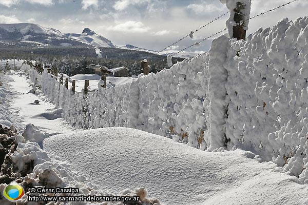 Foto Campo nevado (César Cassina)