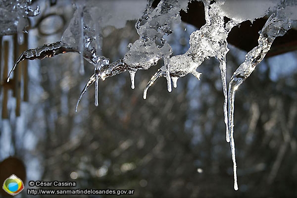 Foto Hielo (César Cassina)