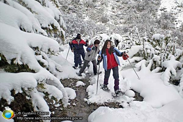 Foto Raquetas por la nieve (Gustavo Charro)