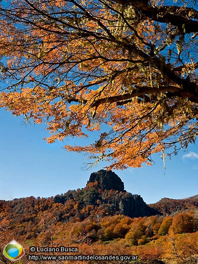 Foto Paisaje otoñal (Luciano Busca)