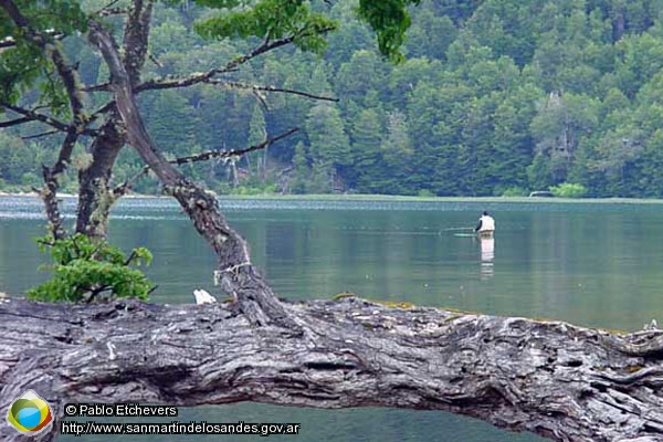 Foto Pesca con mosca (Pablo Etchevers)