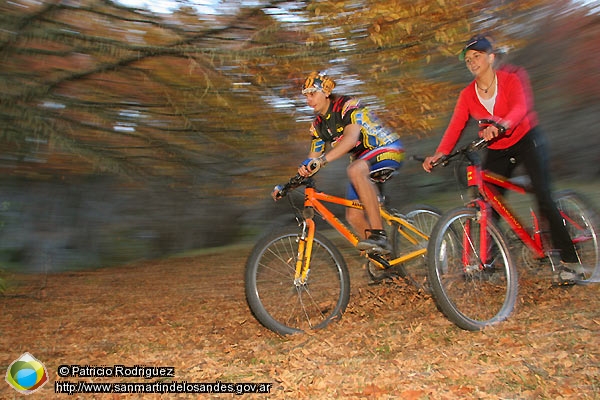 Foto Mountain bike (Patricio Rodriguez)