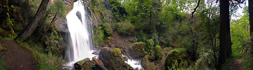 Panorámica 180º Cascada y bosque (Santiago Gaudio)