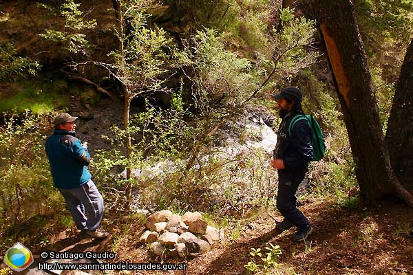 Foto Caminata por el bosque (Santiago Gaudio)