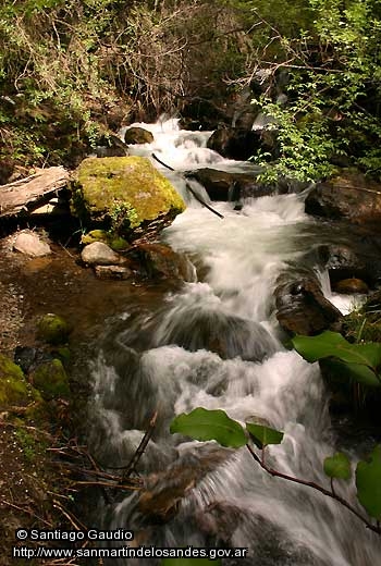 Foto Río de montaña (Santiago Gaudio)