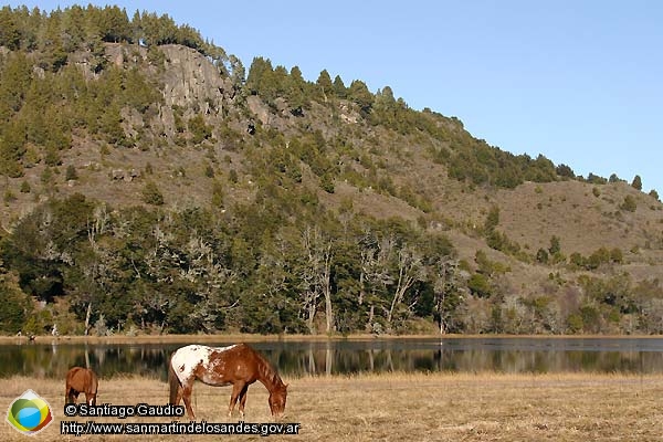 Foto Laguna Rosales (Santiago Gaudio)