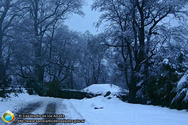 Foto Senda invernal (San Martín de los Andes)