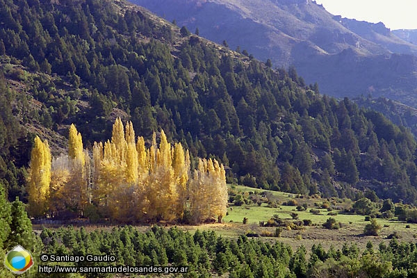 Foto Filo Hua Hum (Santiago Gaudio)