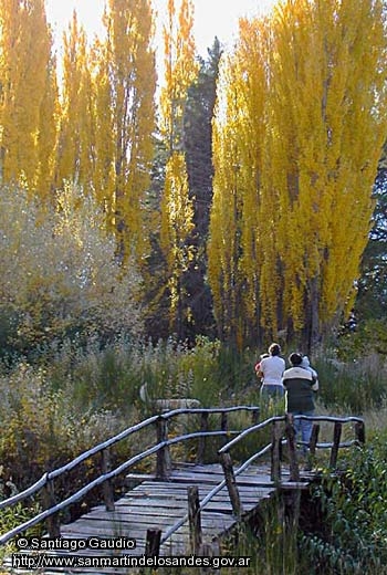 Foto Caminata otoñal (Santiago Gaudio)