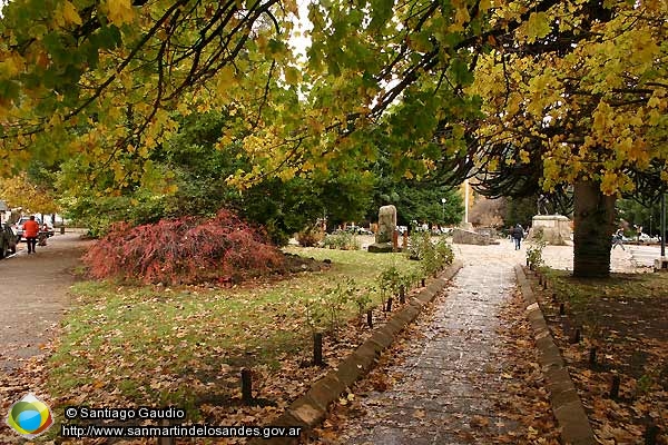 Foto Otoño (Santiago Gaudio)