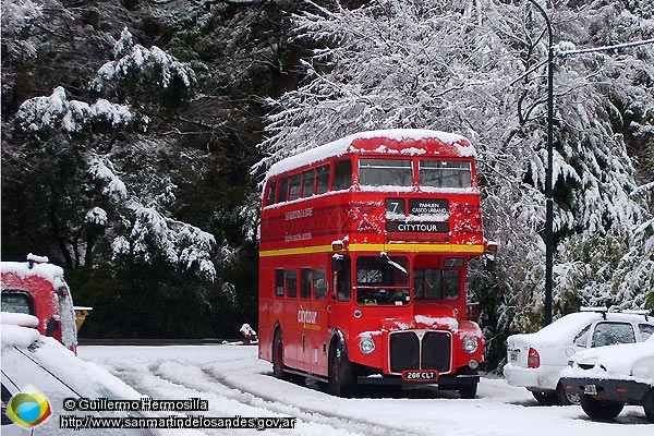 Foto Red Bus (Guillermo Hermosilla)