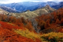 Foto Otoño en Paso Córdoba (Guillermo Hermosilla)