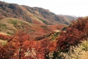 Foto otoño (Santiago Gaudio)