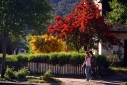 Foto Caminata pueblerina (Santiago Gaudio)