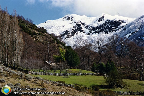 Foto Campito (Ulises Vargas Barrera)