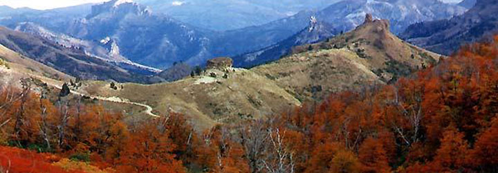 Área Paso Córdoba - Guillermo Hermosilla