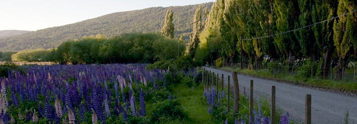 Rural Lodging - Santiago Gaudio