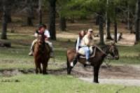 Foto Paseo a caballo (Guillermo Hermosilla)