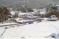 Foto Campito nevado  (Guillermo Hermosilla)