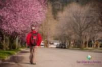 Foto Ciruelos en flor (Efrain Dávila)