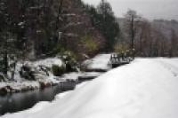 Foto Camino invernal (Lahuen-co,Termas de Epulafquen)