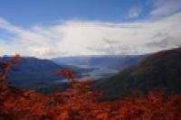 Foto Colores de otoño (Patricia Friedrich)