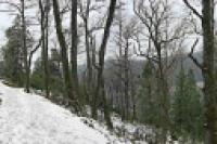 Panorámica 360º Senderos invernales (Santiago Gaudio)