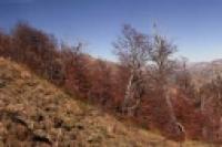 Panorámica 360º Paso del Córdoba (Santiago Gaudio)