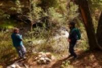 Foto Caminata por el bosque (Santiago Gaudio)