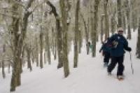 Foto Raquetas por la nieve (Santiago Gaudio)