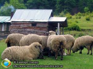 Foto Camping Don Bartolo (Santiago Gaudio)