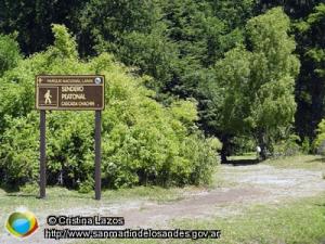 Foto Sendero a la cascada (Cristina Lazos)