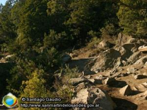 Panorámica 360º Lago Lácar (Santiago Gaudio)