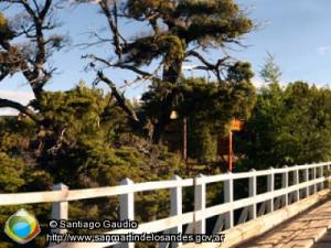 Panorámica 360º Nacimiento río Quilquihue - Lago Lolog (Santiago Gaudio)