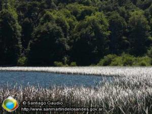 Foto Lago Curruhué Chico (Santiago Gaudio)