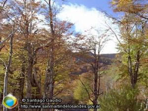 Foto Arroyo otoñal (Santiago Gaudio)