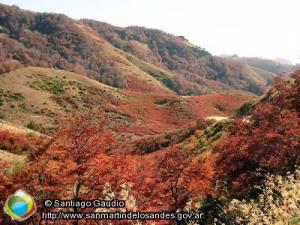 Foto otoño (Santiago Gaudio)